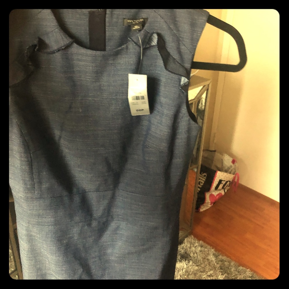 Ann Taylor Dress